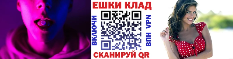 кракен как войти  Зеленоградск  ЭКСТАЗИ таблы 