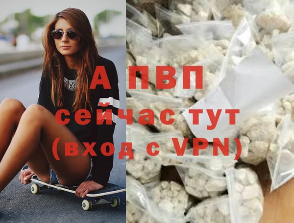 СК Нея