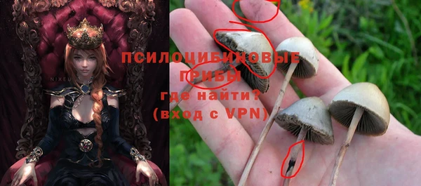 прущая мука Нефтегорск