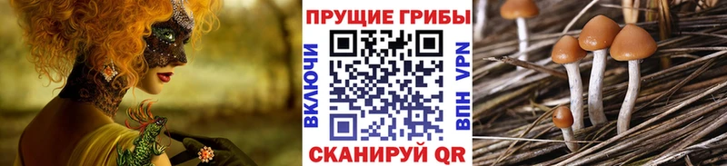 Псилоцибиновые грибы Magic Shrooms  Зеленоградск 